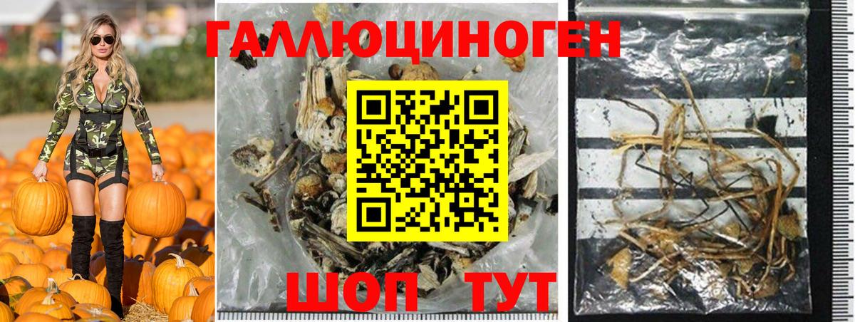 Галлюциногенные грибы мухоморы Армавир