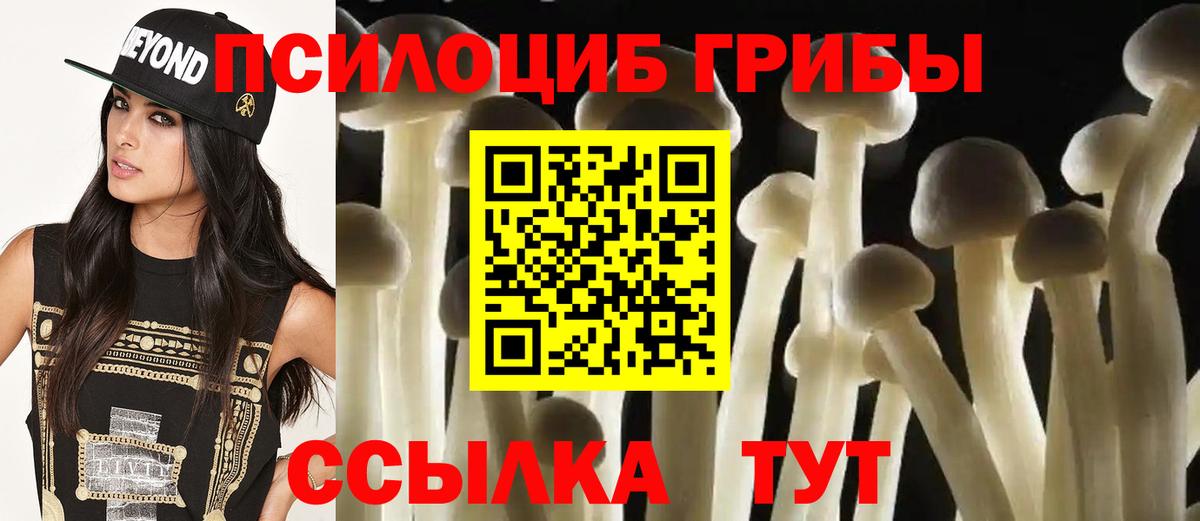 Армавир  Галлюциногенные грибы GOLDEN TEACHER  Вход с VPN 